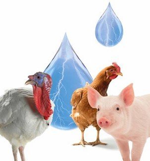 DwuaXan. Kondycjonowanie wody technicznej oraz pitnej.